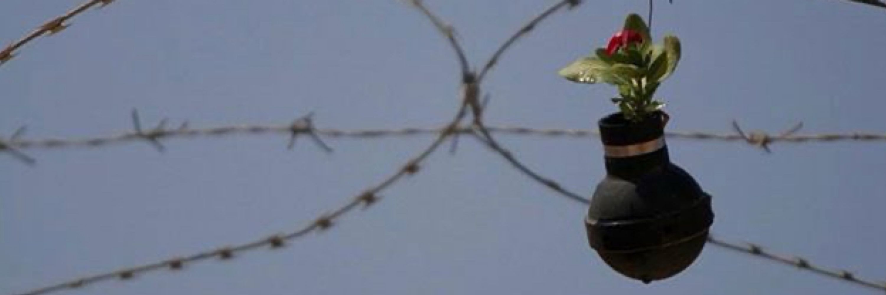 Free Palestine