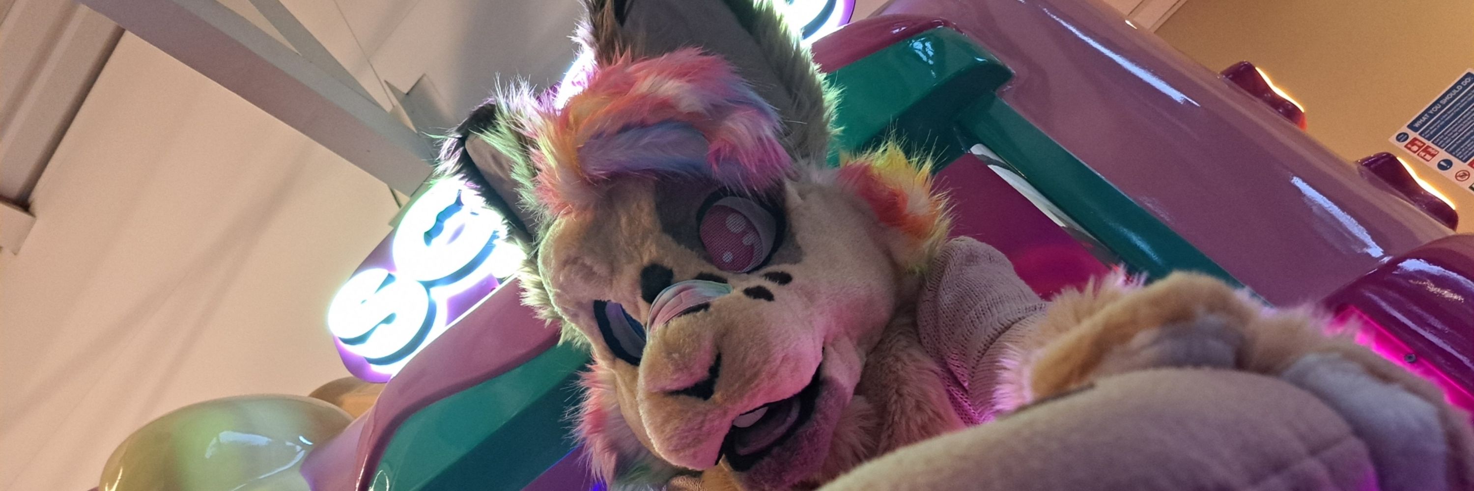 Cookie 🍪 🔜 CFZ