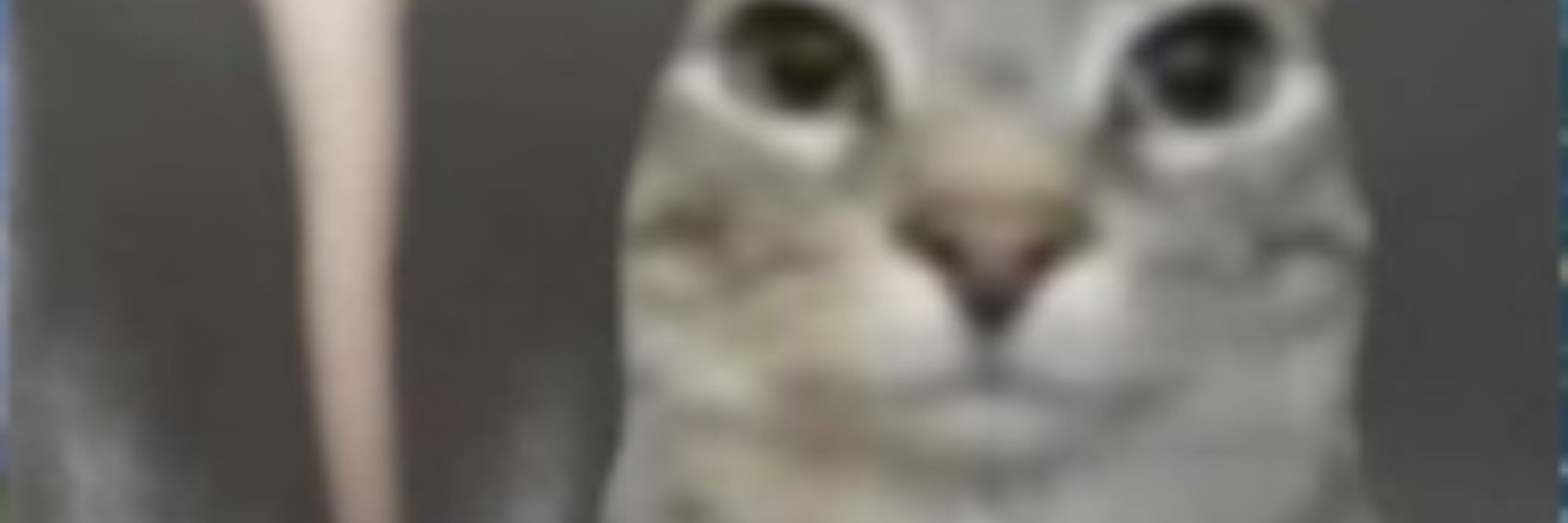 rafr6