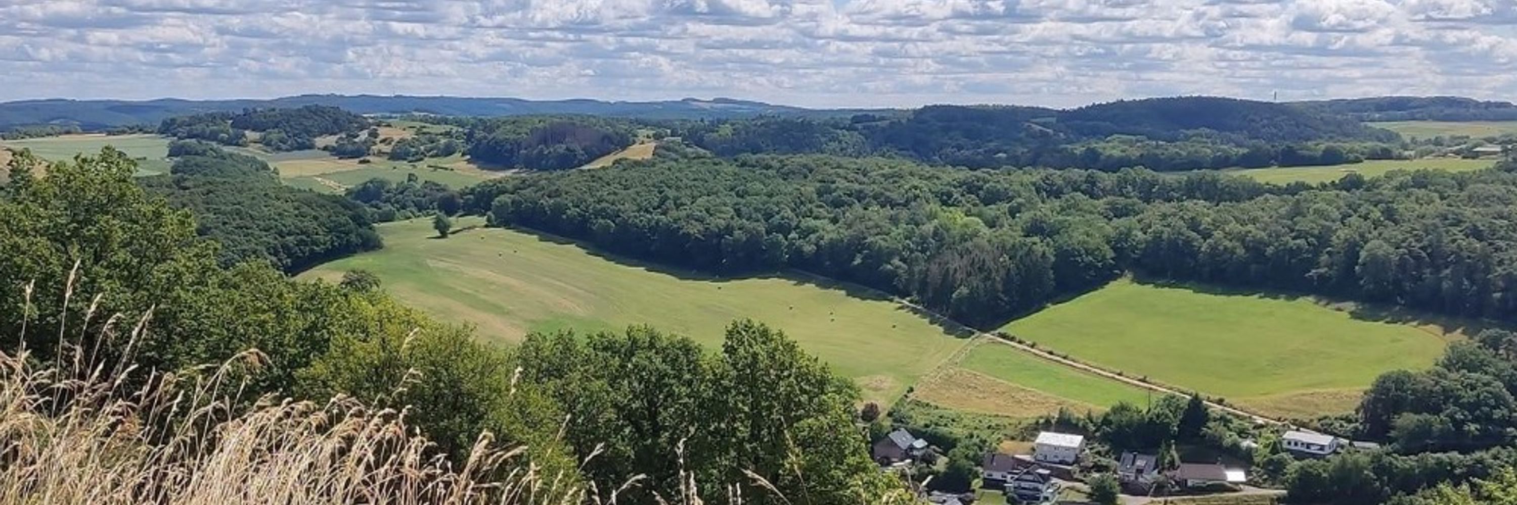 BÜNDNIS 90 / DIE GRÜNEN MECHERNICH