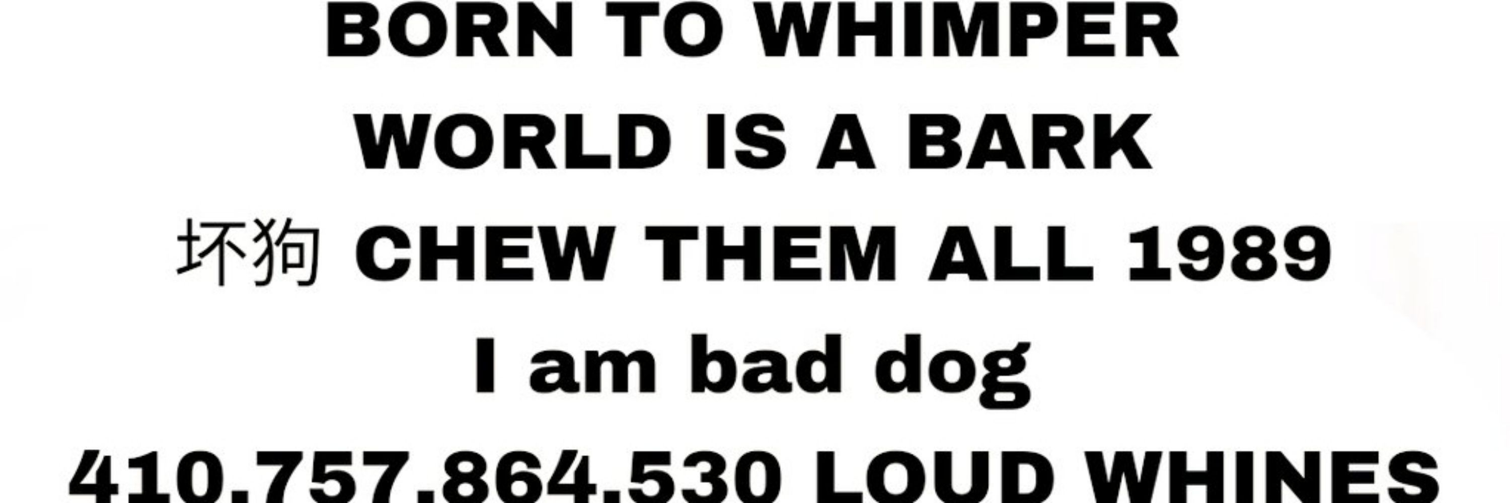 Chien bigidus