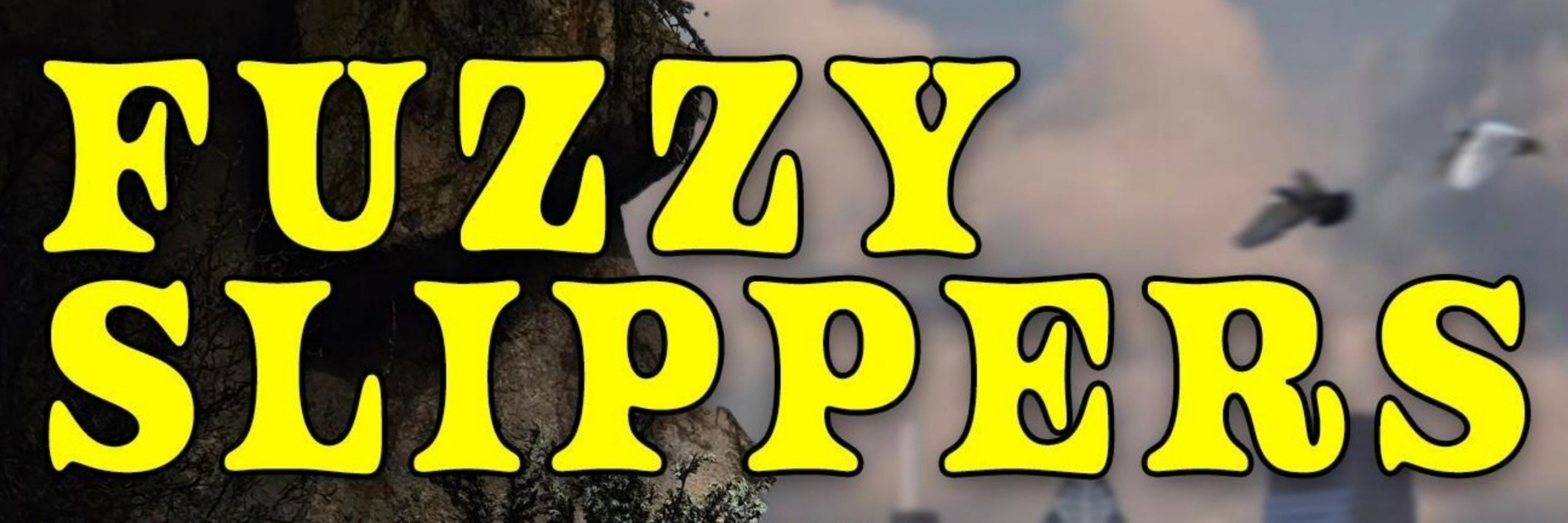 Fuzzy Slippers