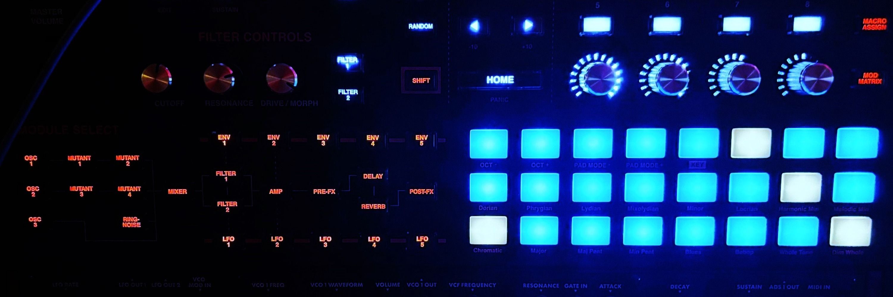 Mimi a journey of Synths and Sensibility 🎹 💃 