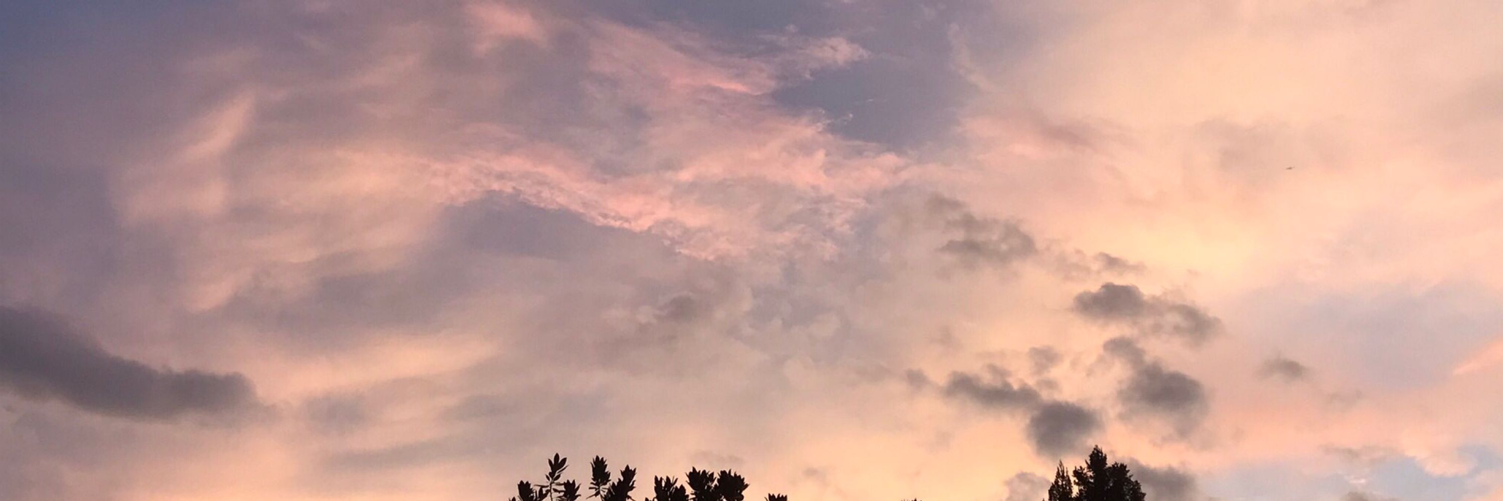 時雨