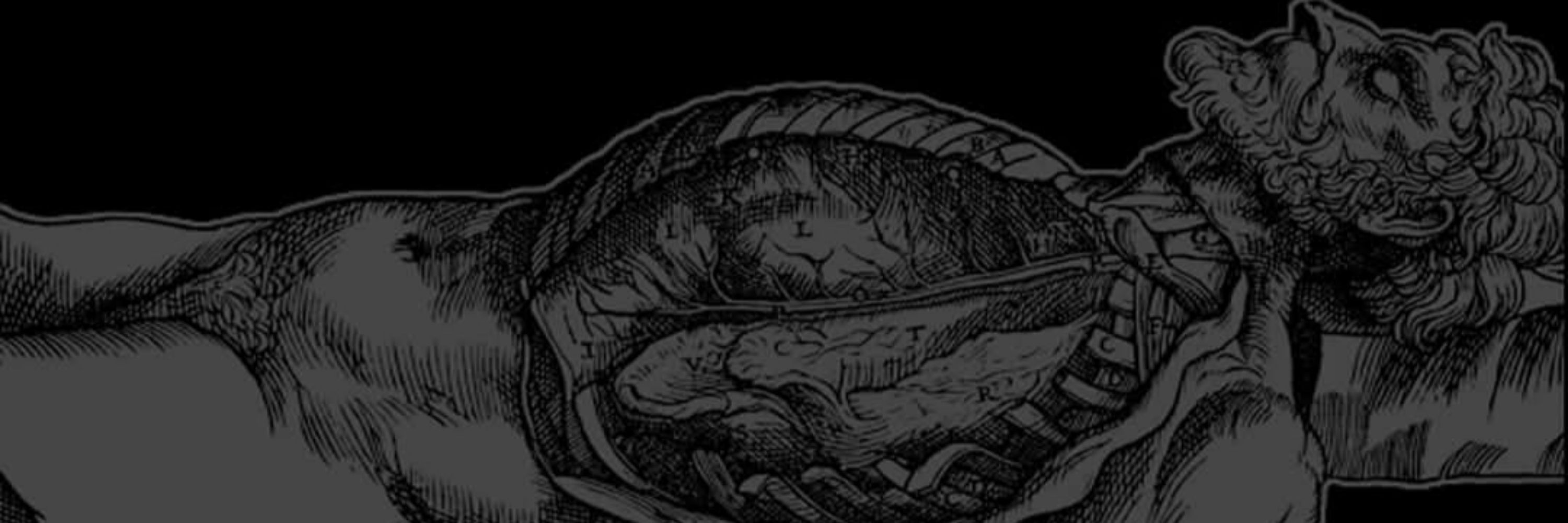 ENDFORM