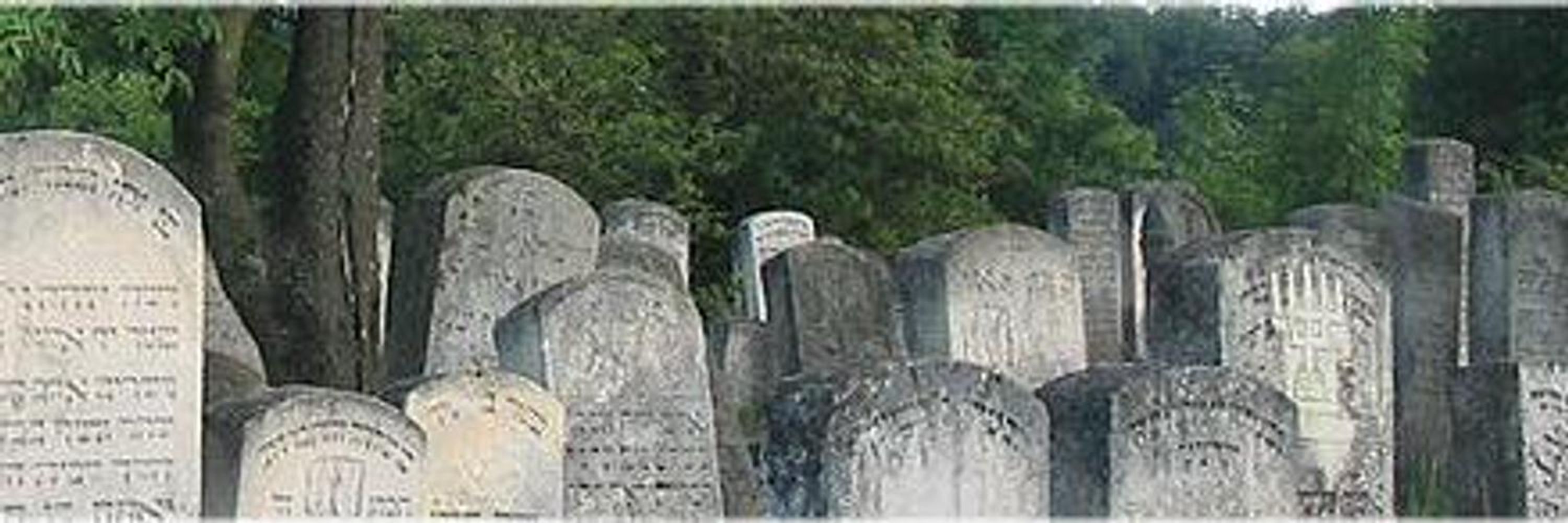 Outlived
