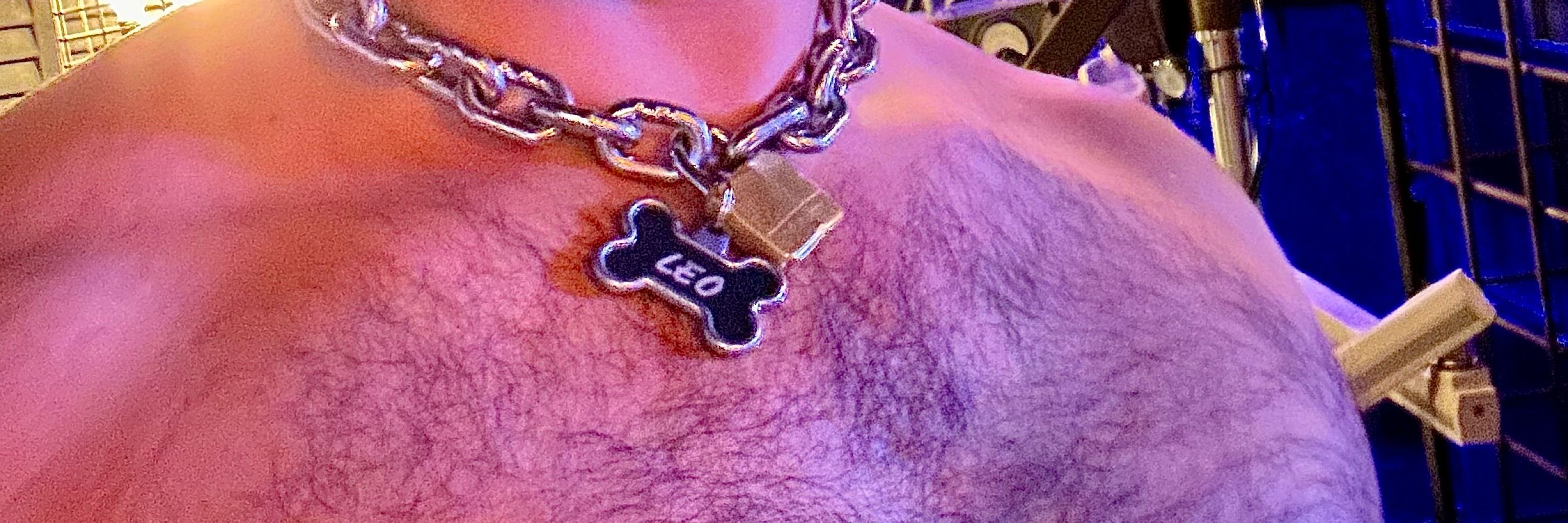 Puppybearleo