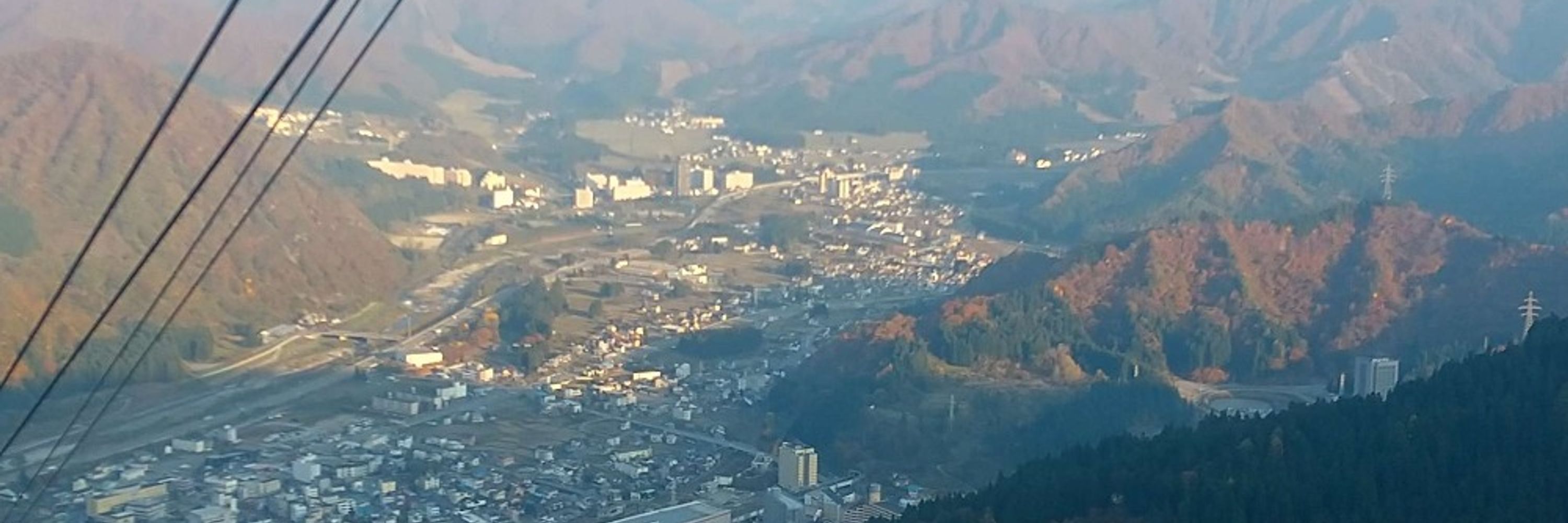 キャンベル