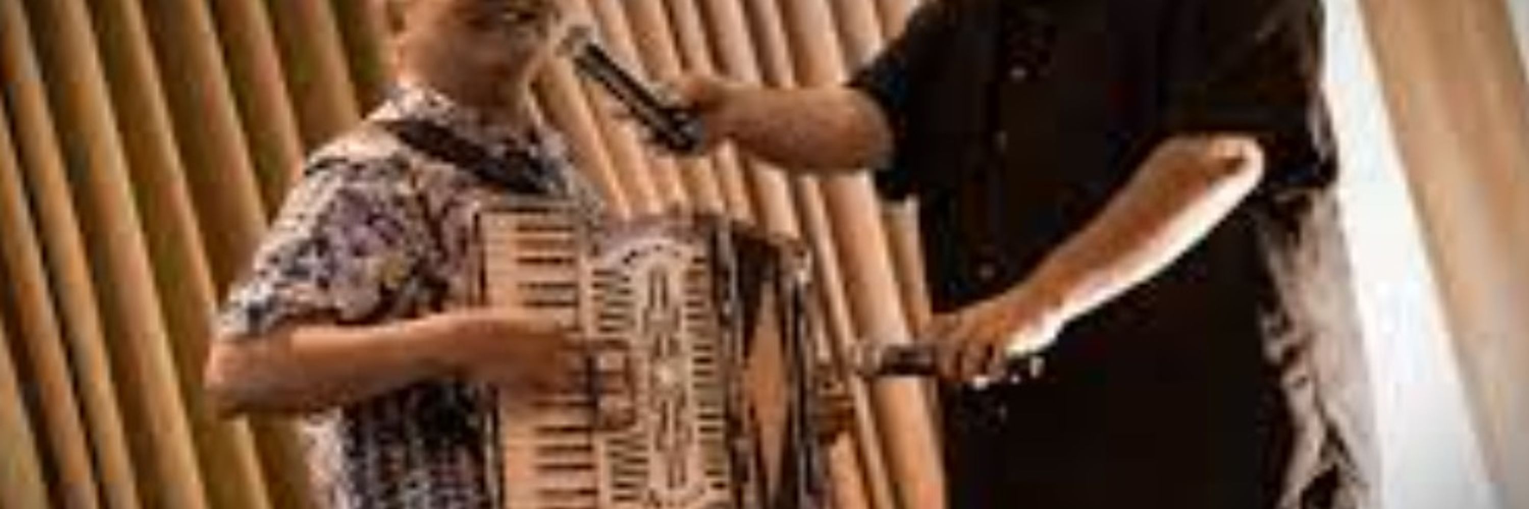 Joey de Villa (AccordionGuy)