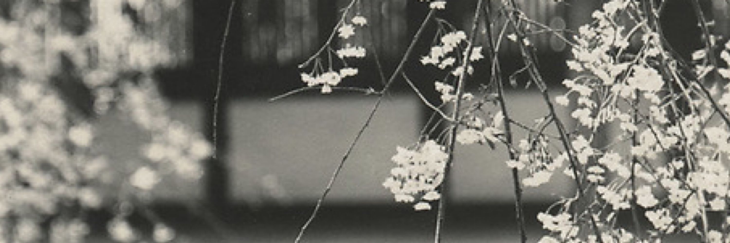 Maria Yagi McElroy