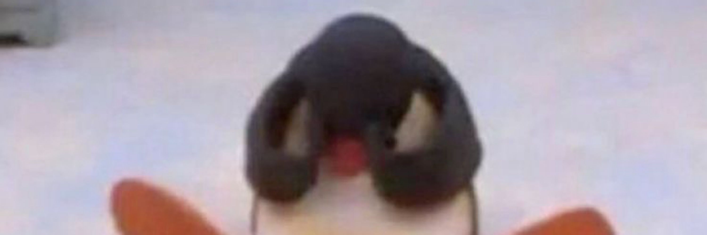 kimchii