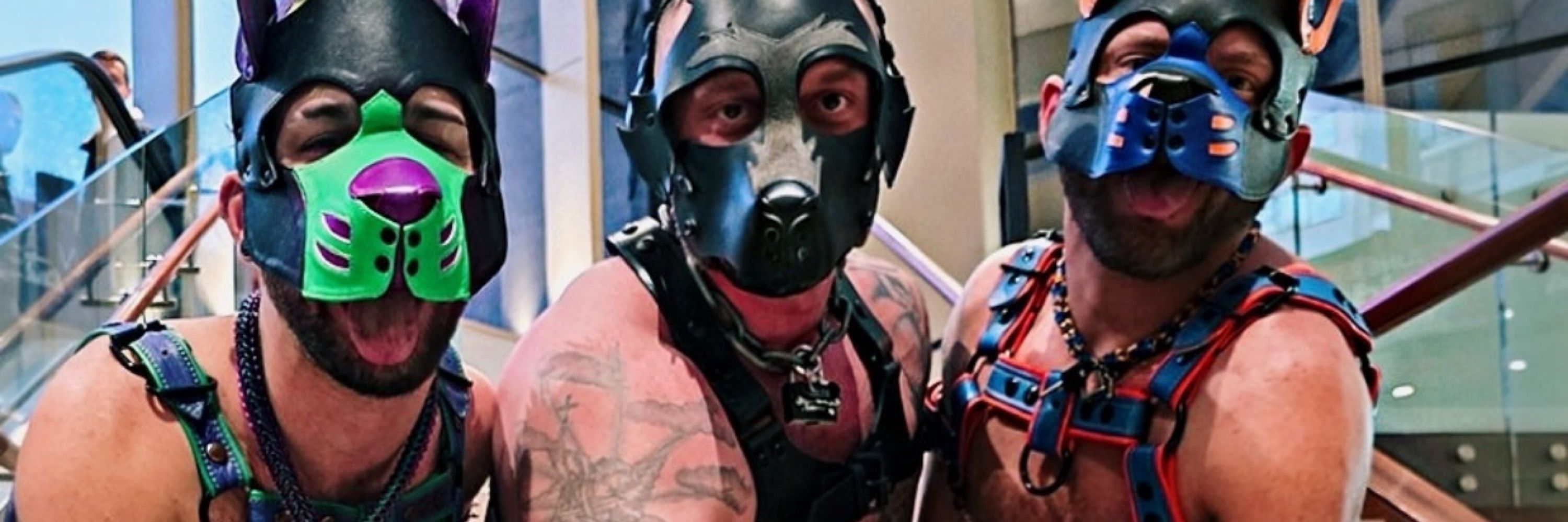 Alpha Wolfie
