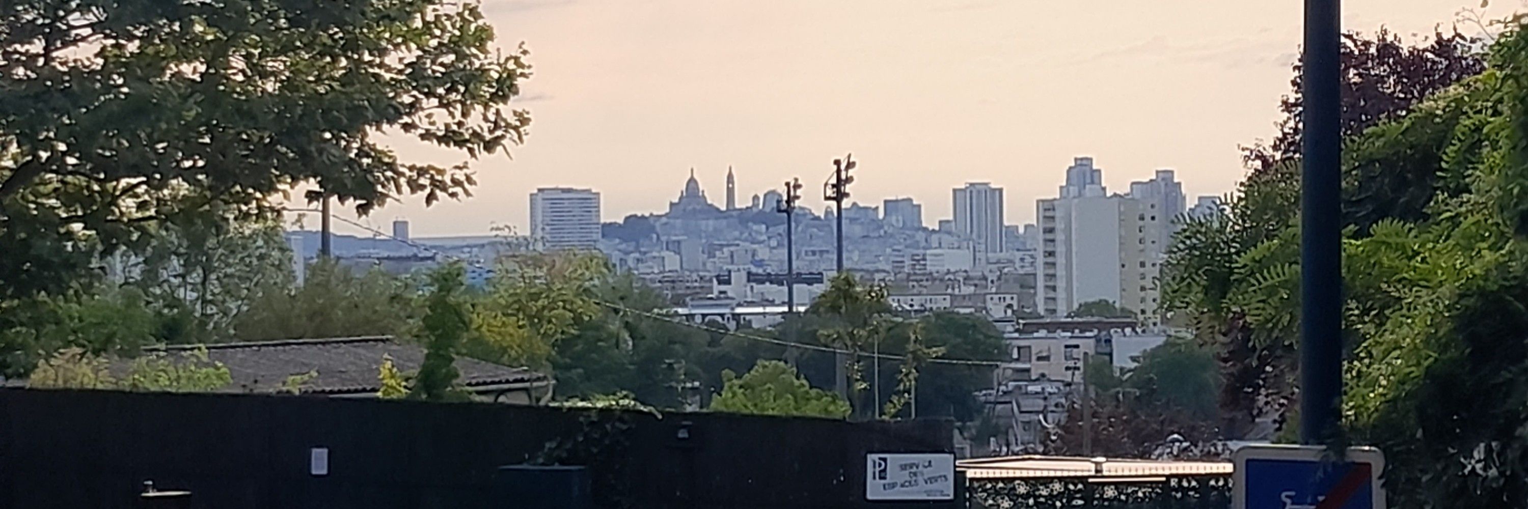 Sebbillows