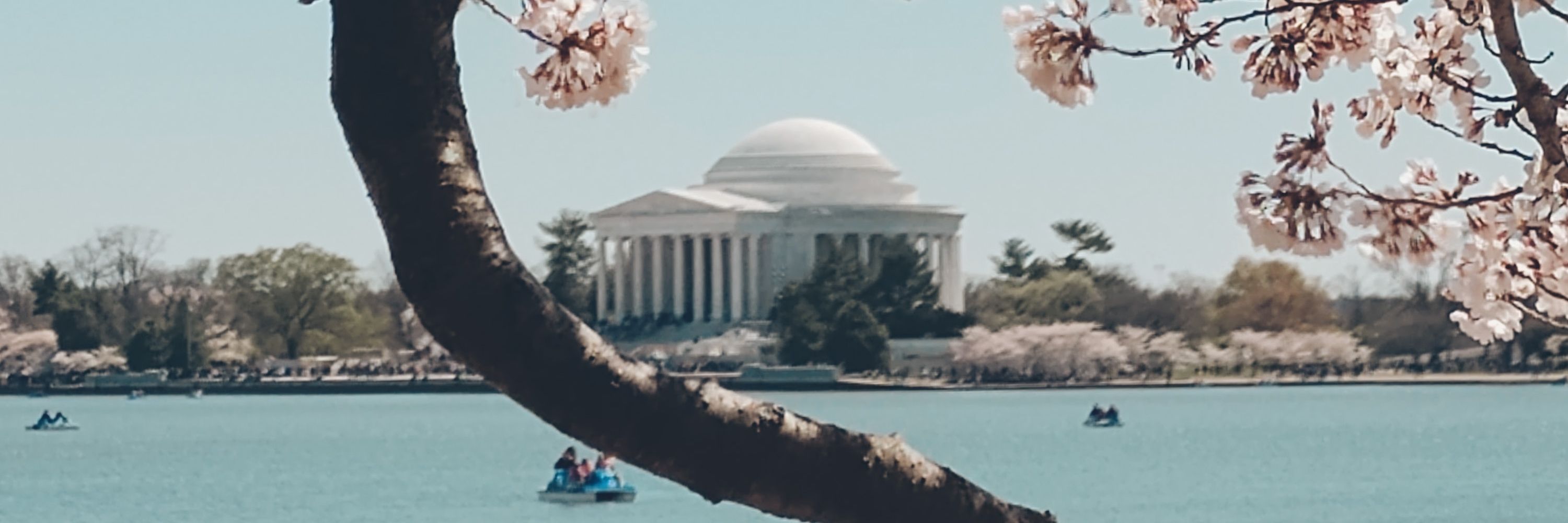 C.T. in D.C.