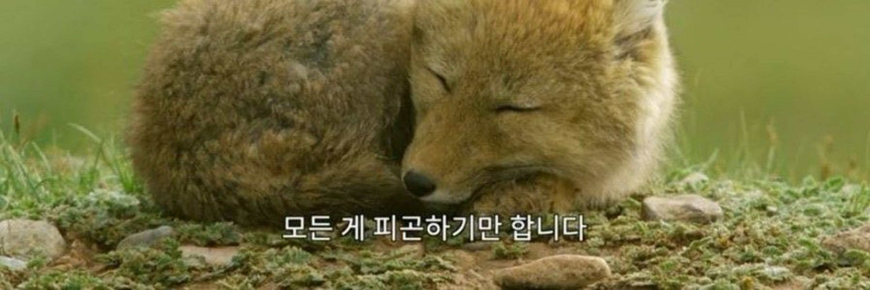 구