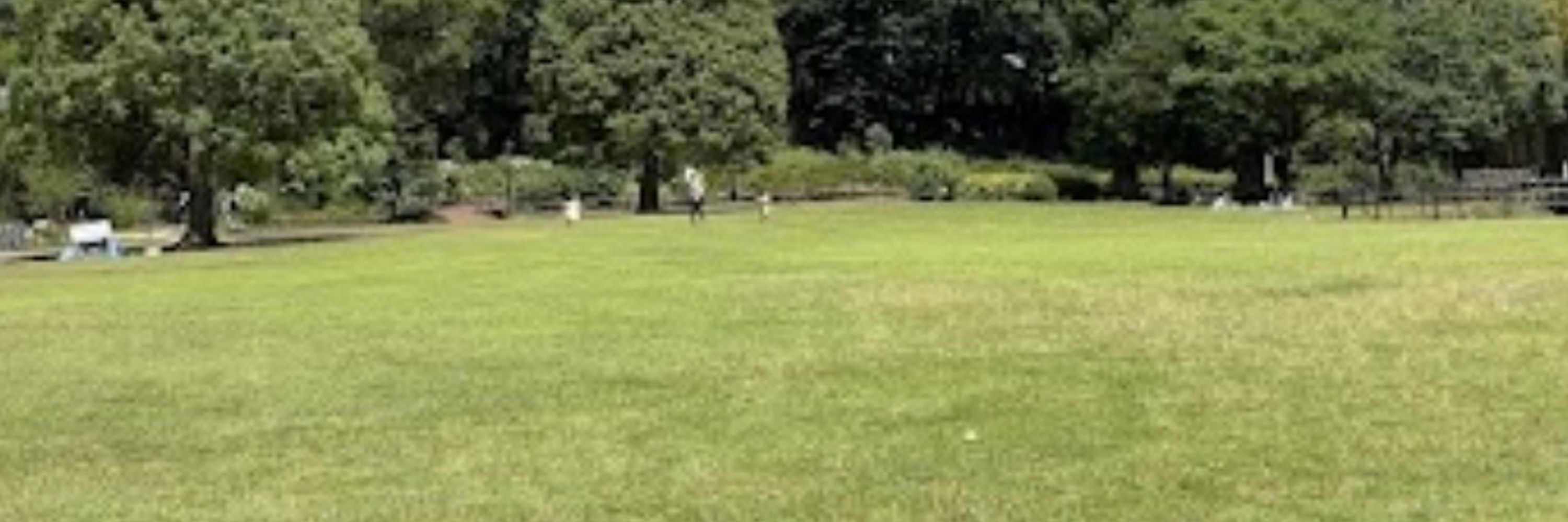 にらたま