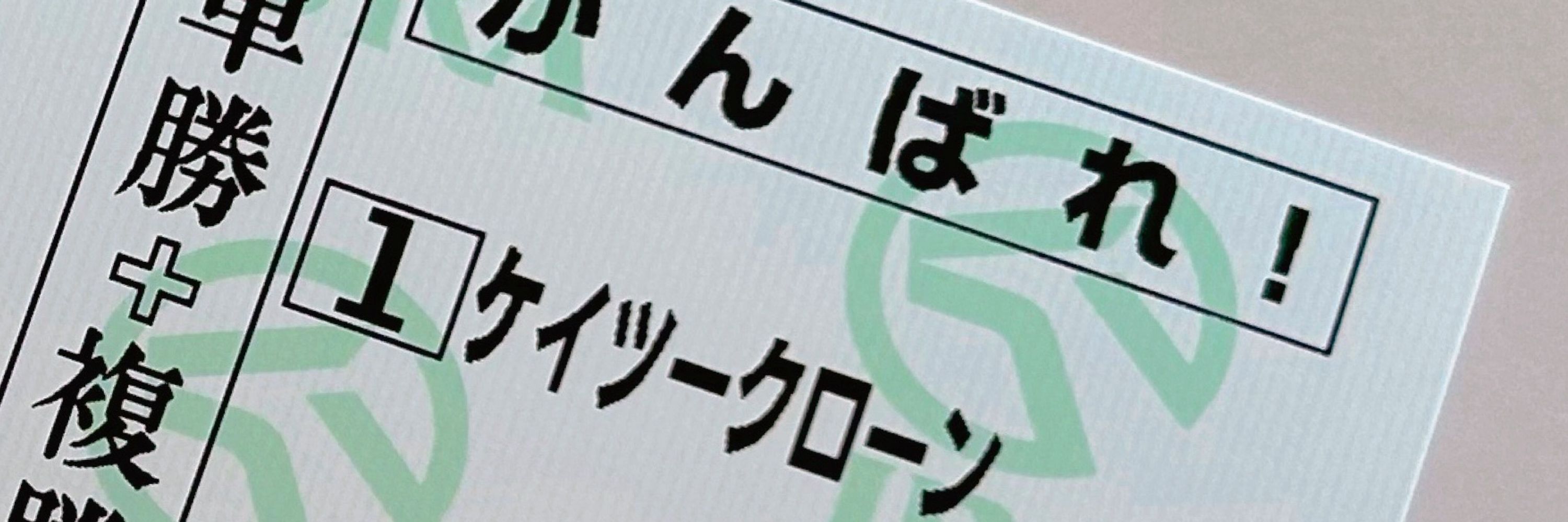 つわぶき