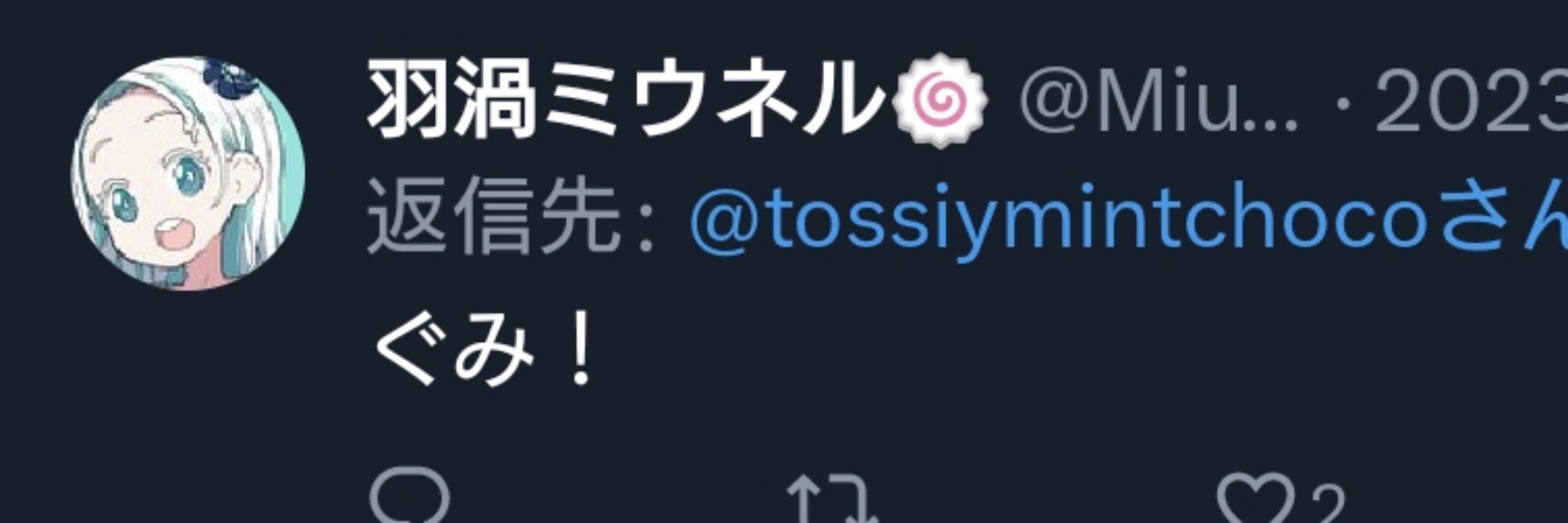 チョコミントッシー🌀