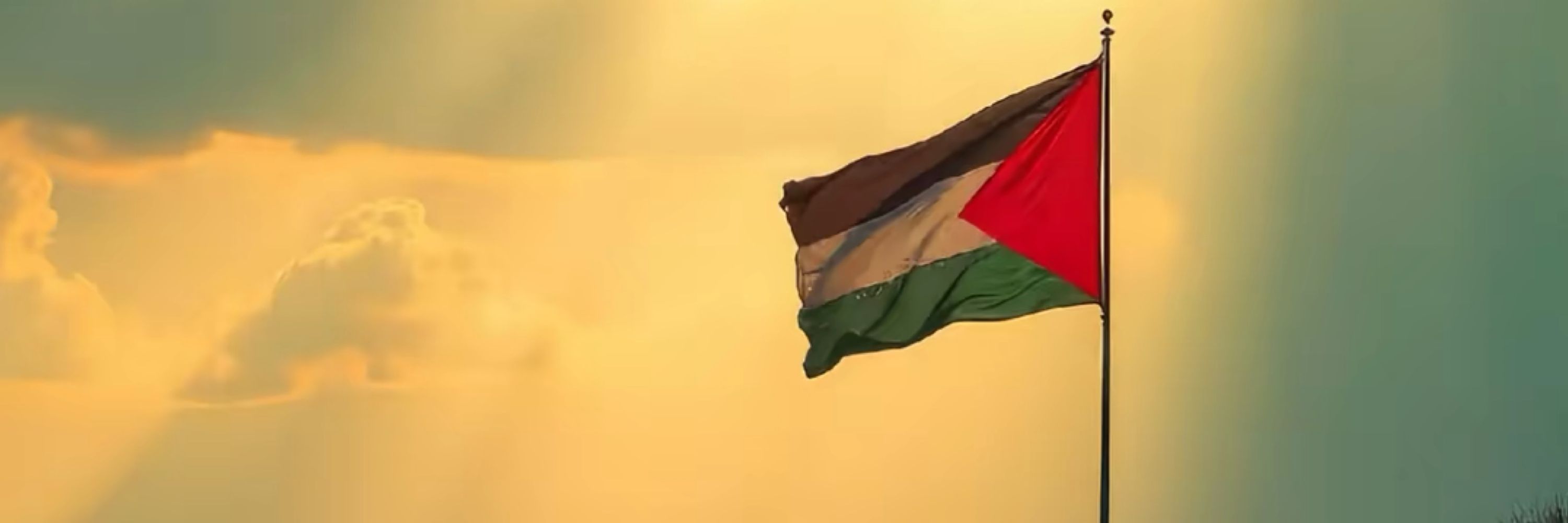 Dr. Omar 12-🇵🇸 🩺