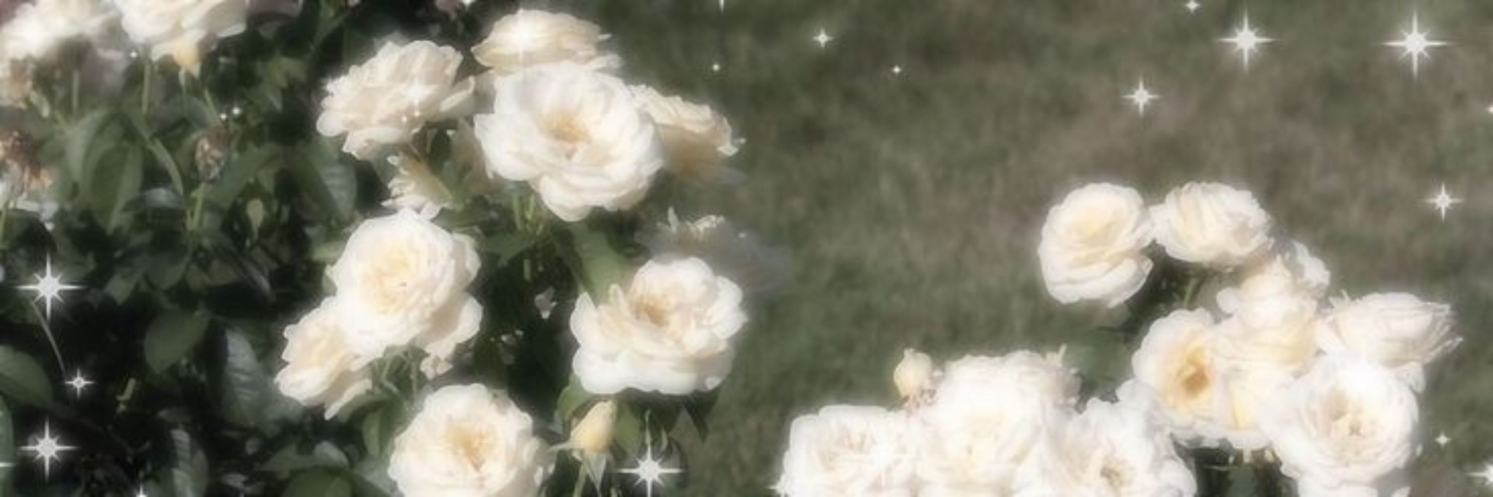 ɳყɱρɦ