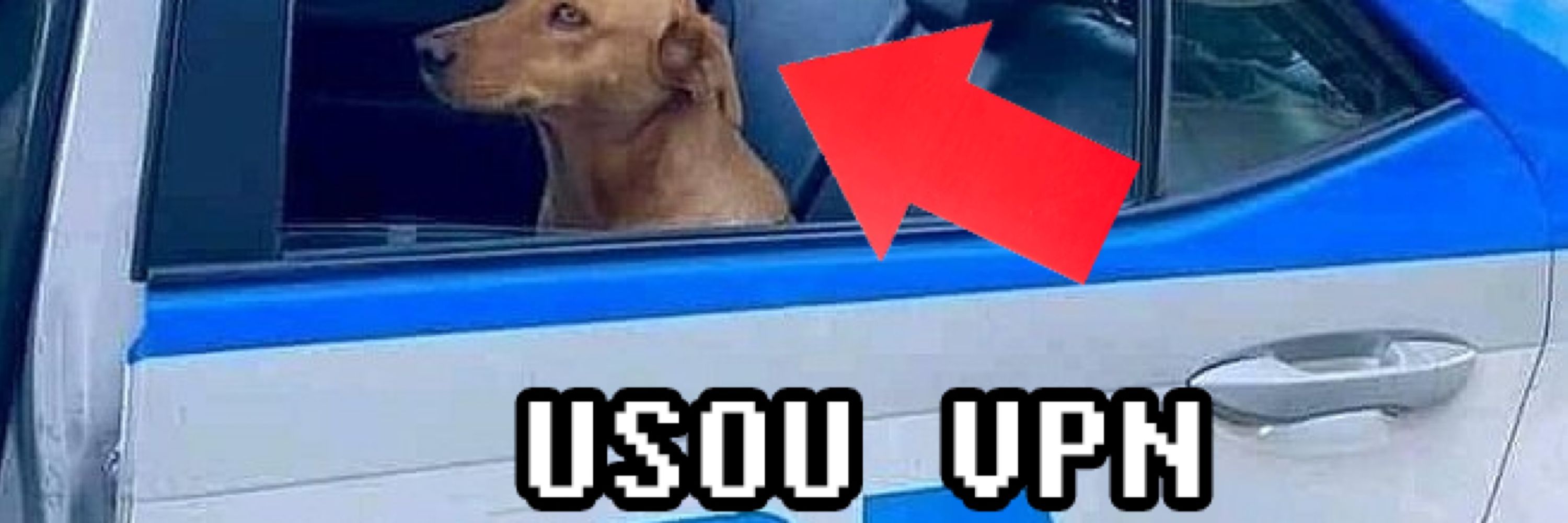 maju 