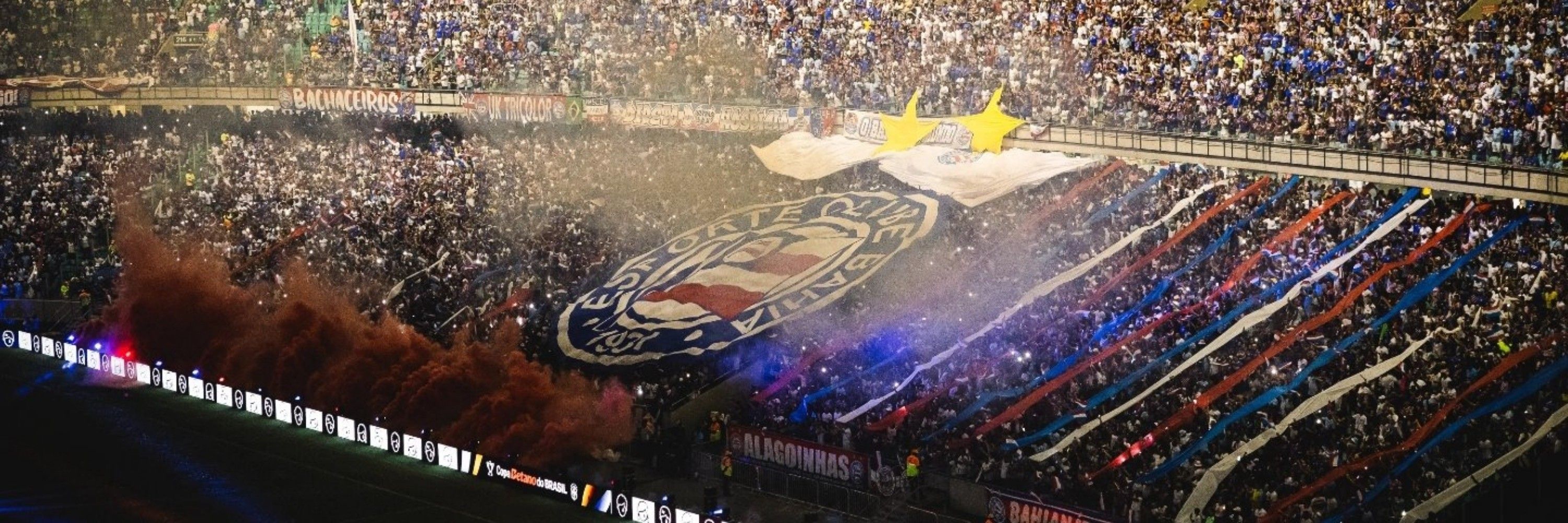 pele de caju