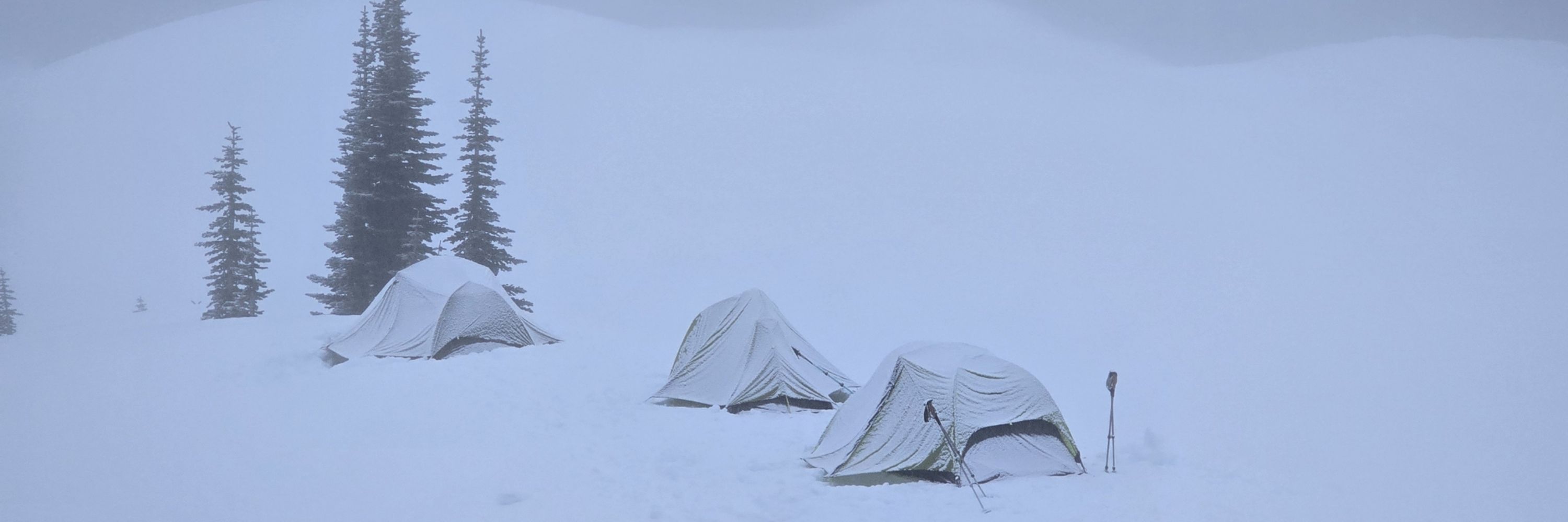 The Average Backpacker