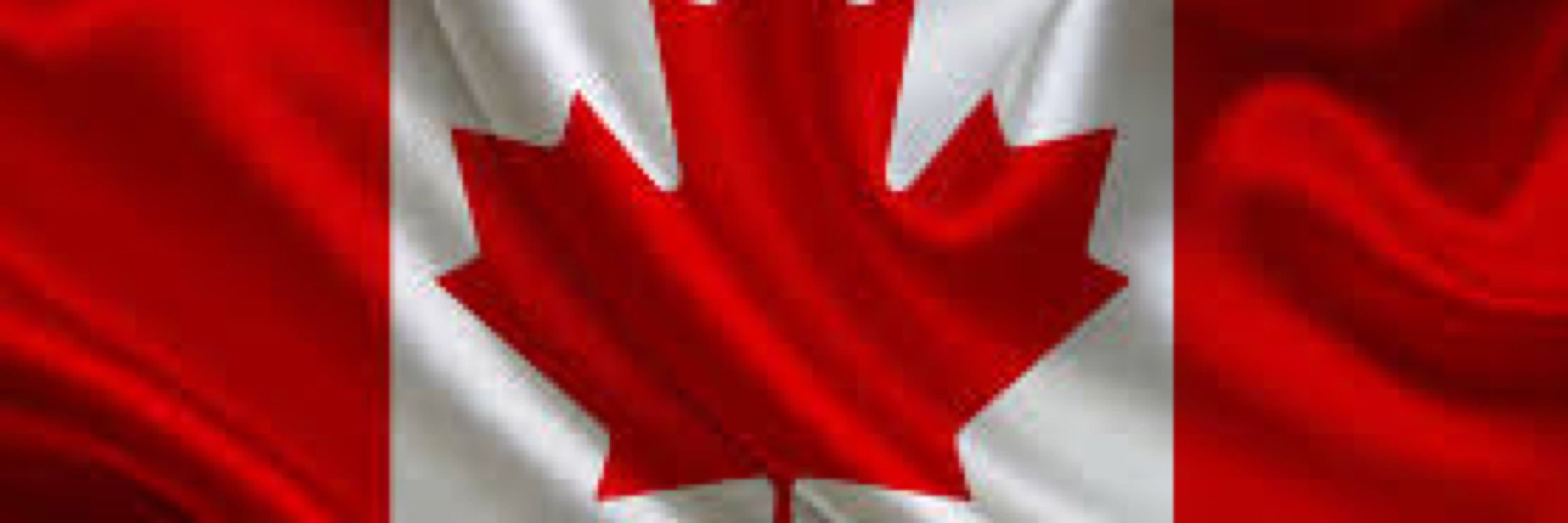 DanielB 🇨🇦⚜️ Canadian - Quebecois
