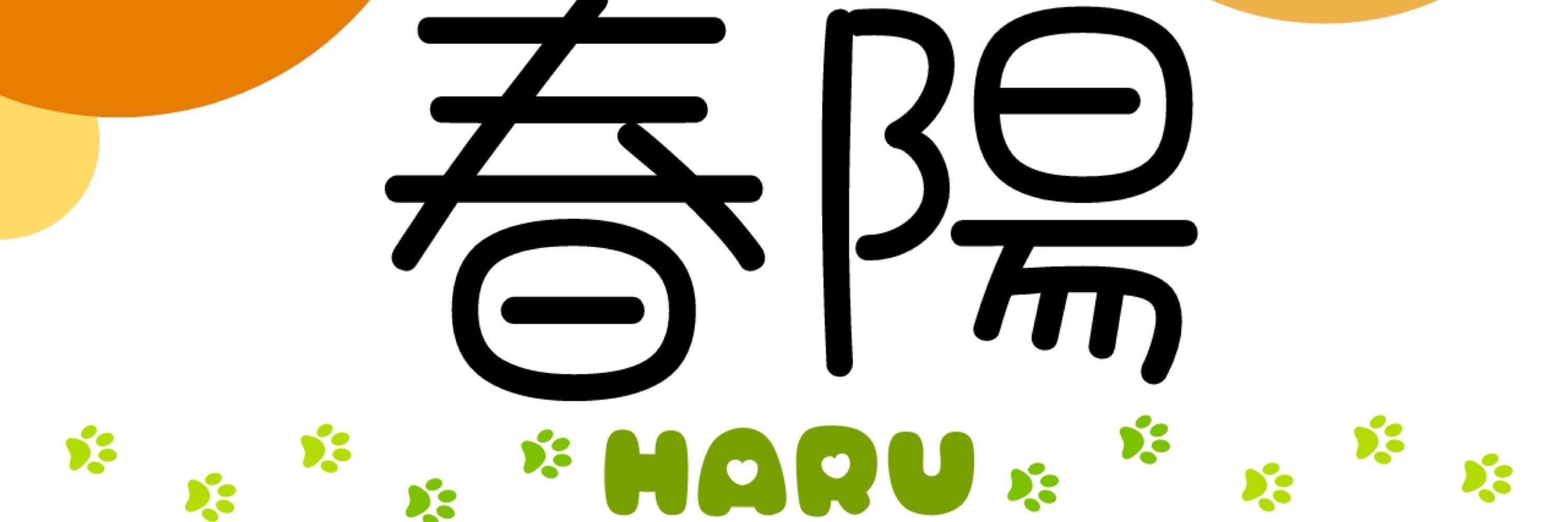 haru / 春陽