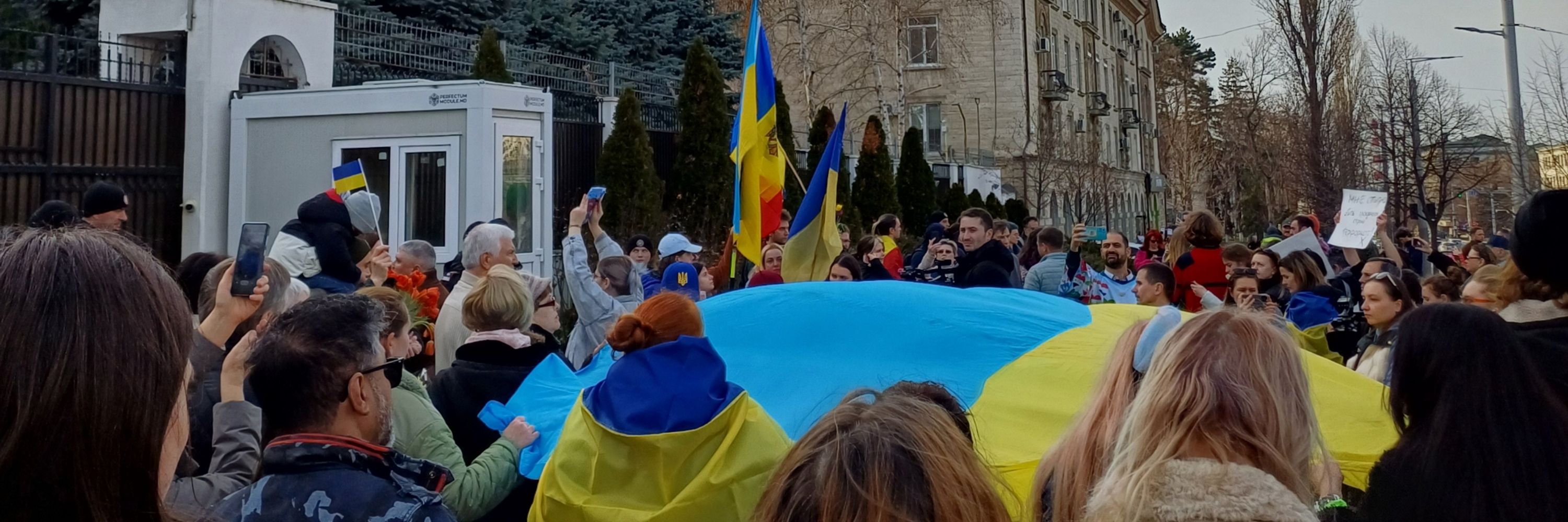 zall1a 🇲🇩