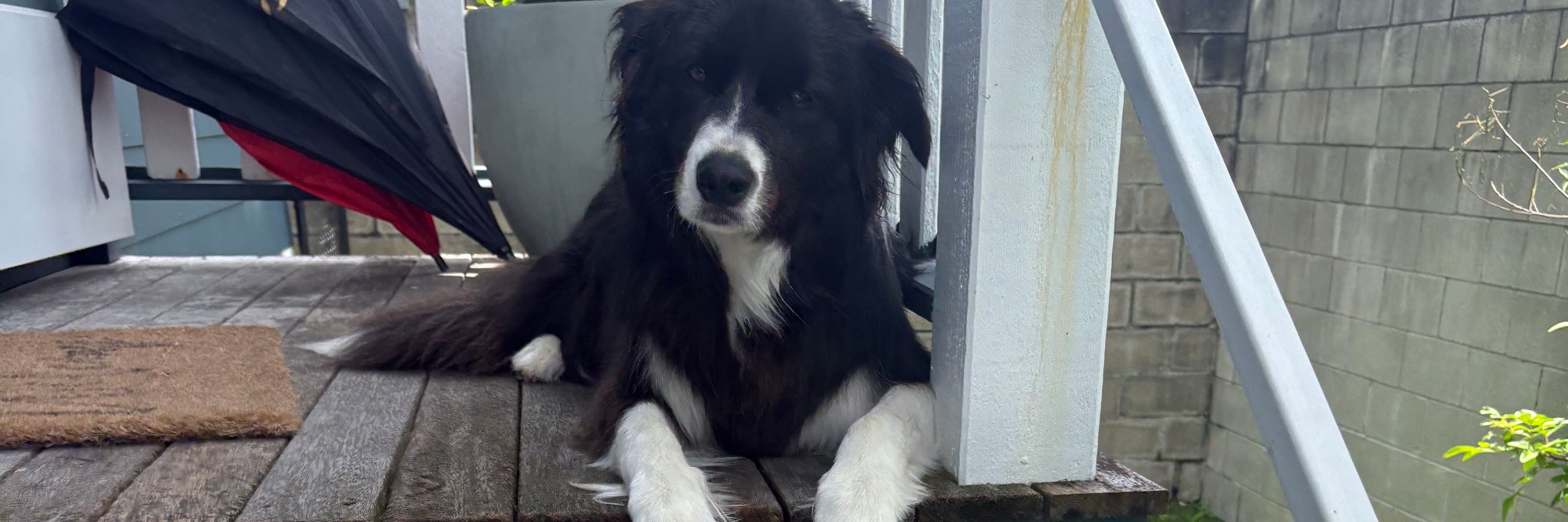 Benny