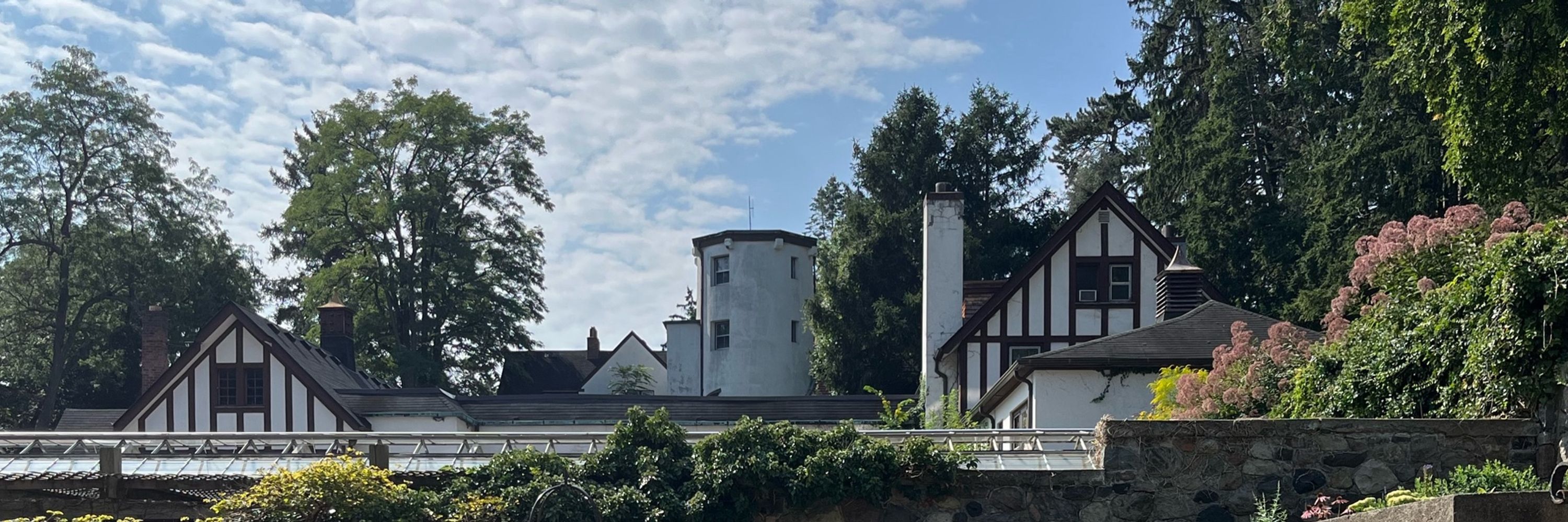 DrEllisJaruzel
