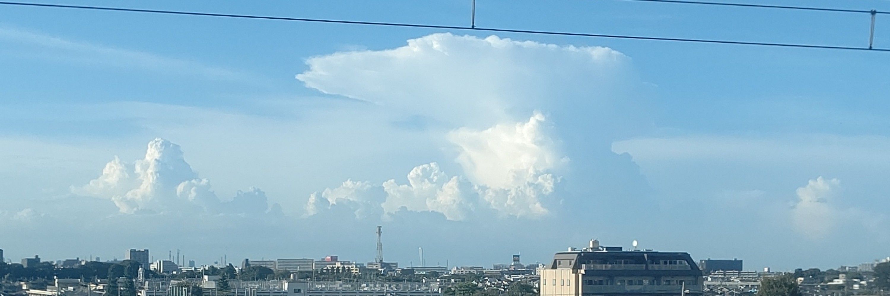 あおい