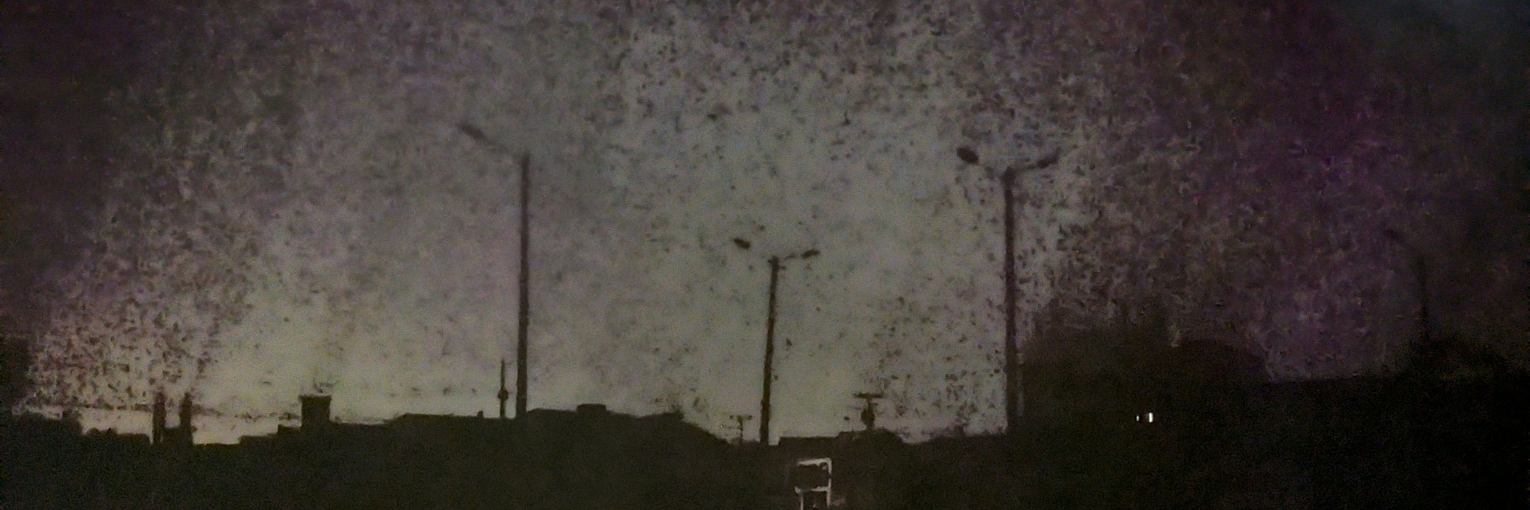 martin vasco