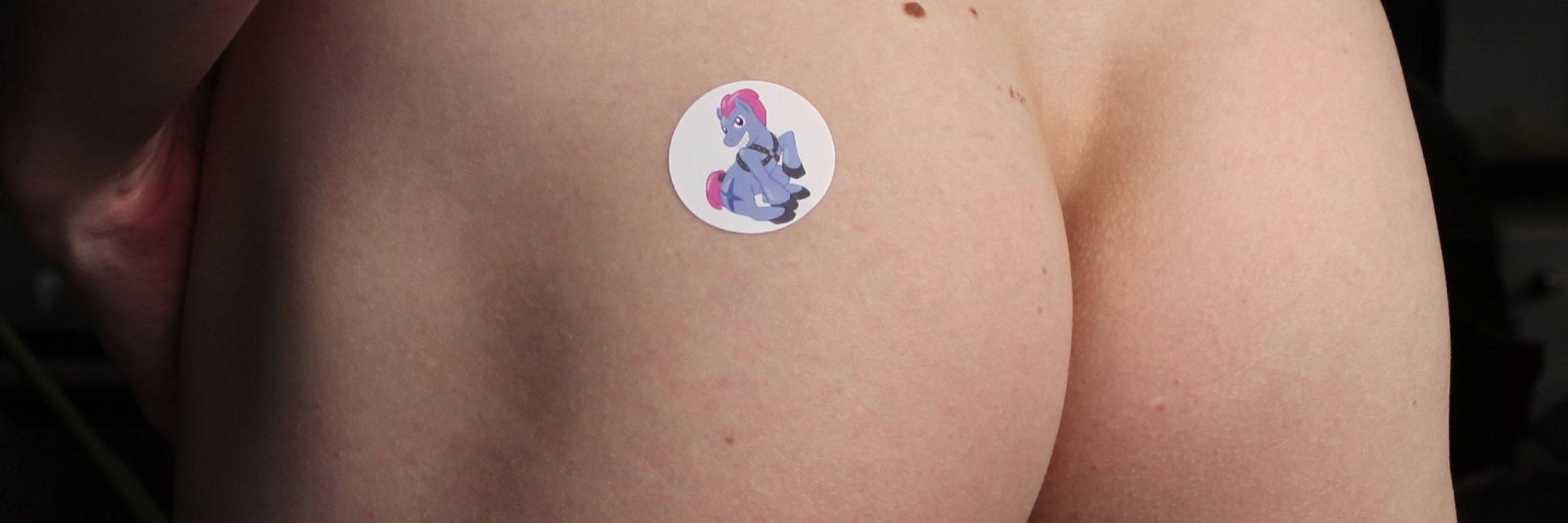 PonyBoyExpress.com