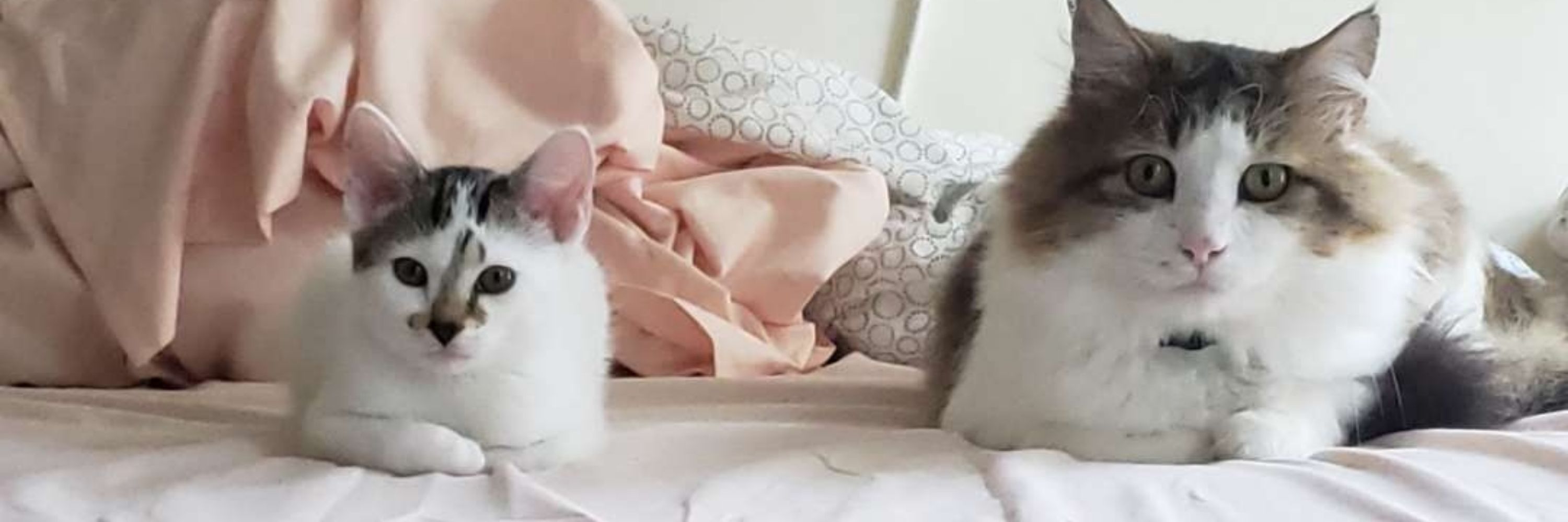 Emmi T 💖✨️