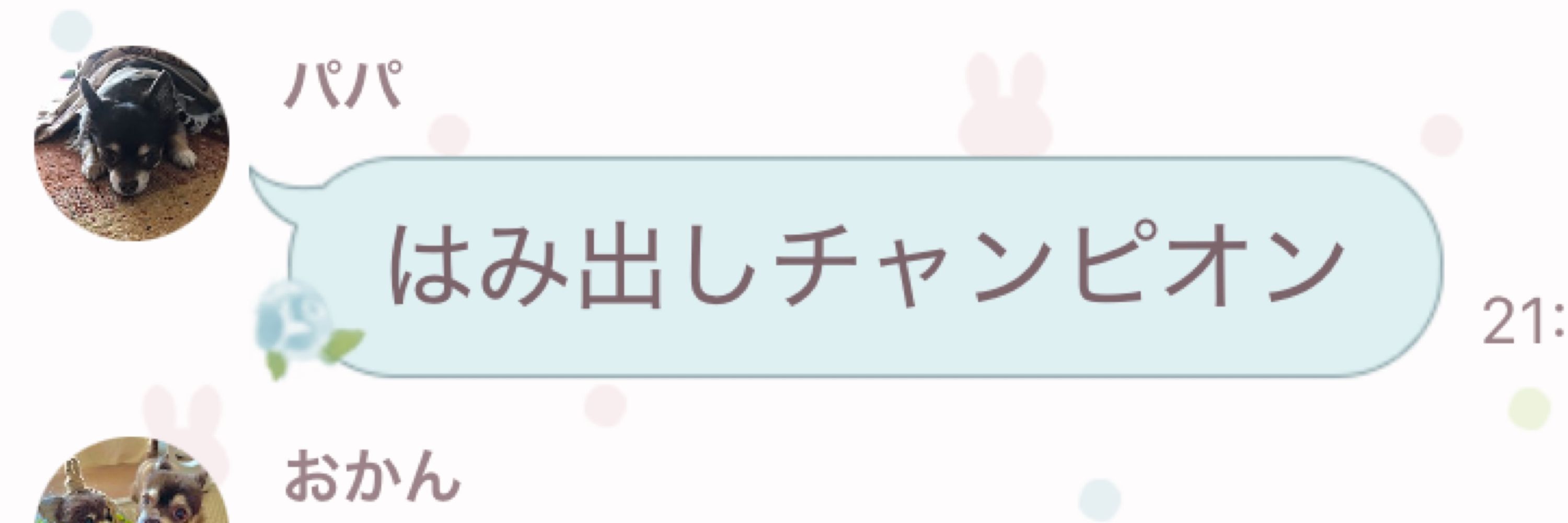 ぴょんこ( ՞. ̫.՞)