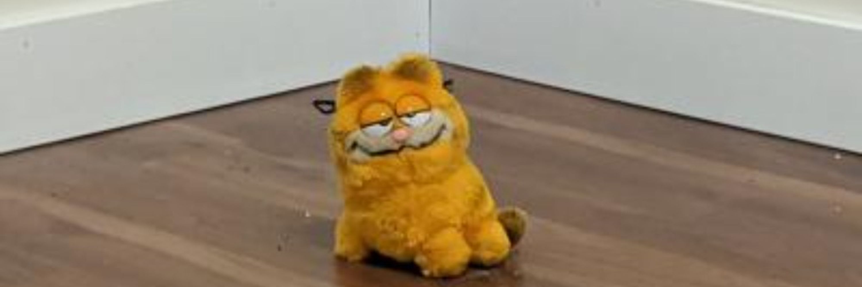thonky