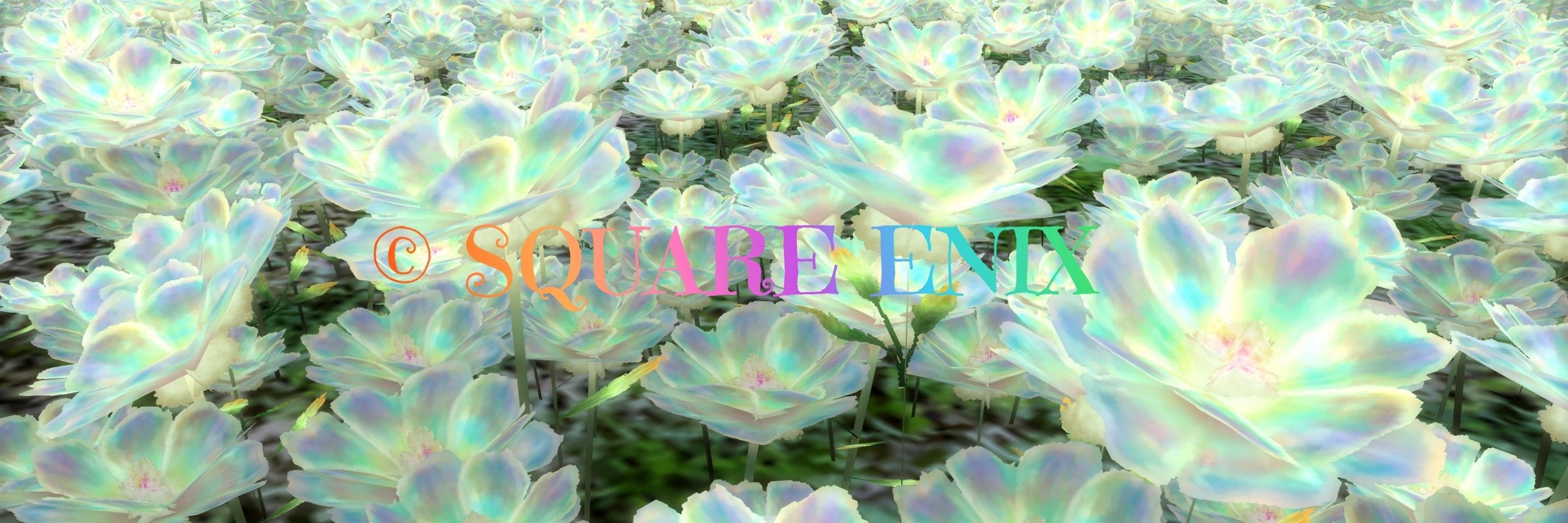 メアリー