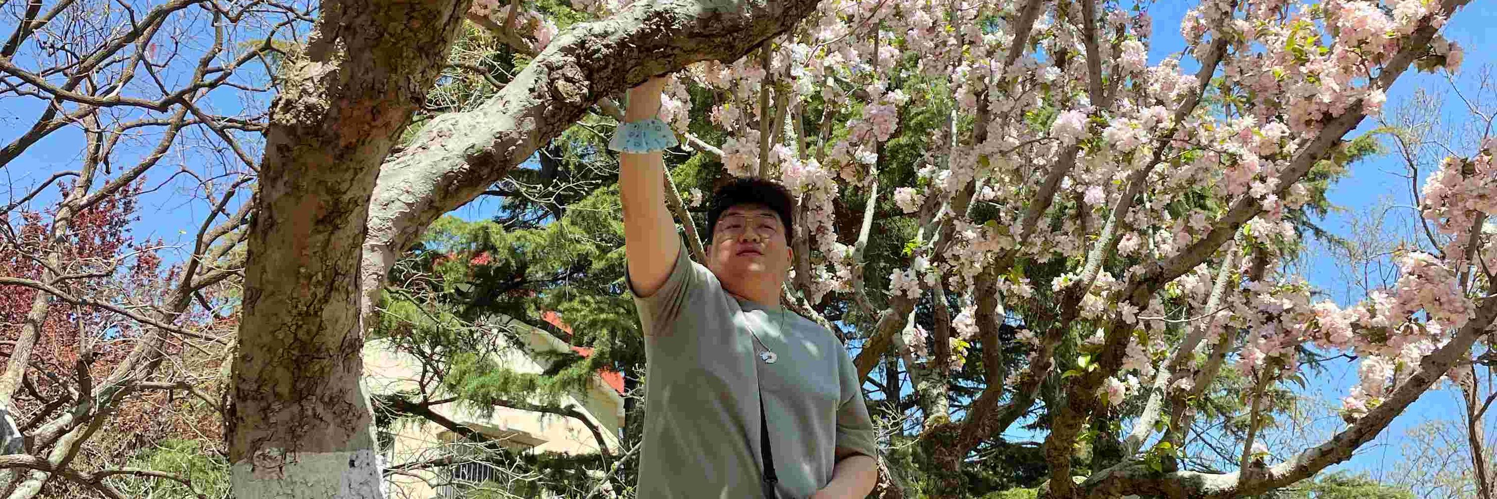 AD钙一样