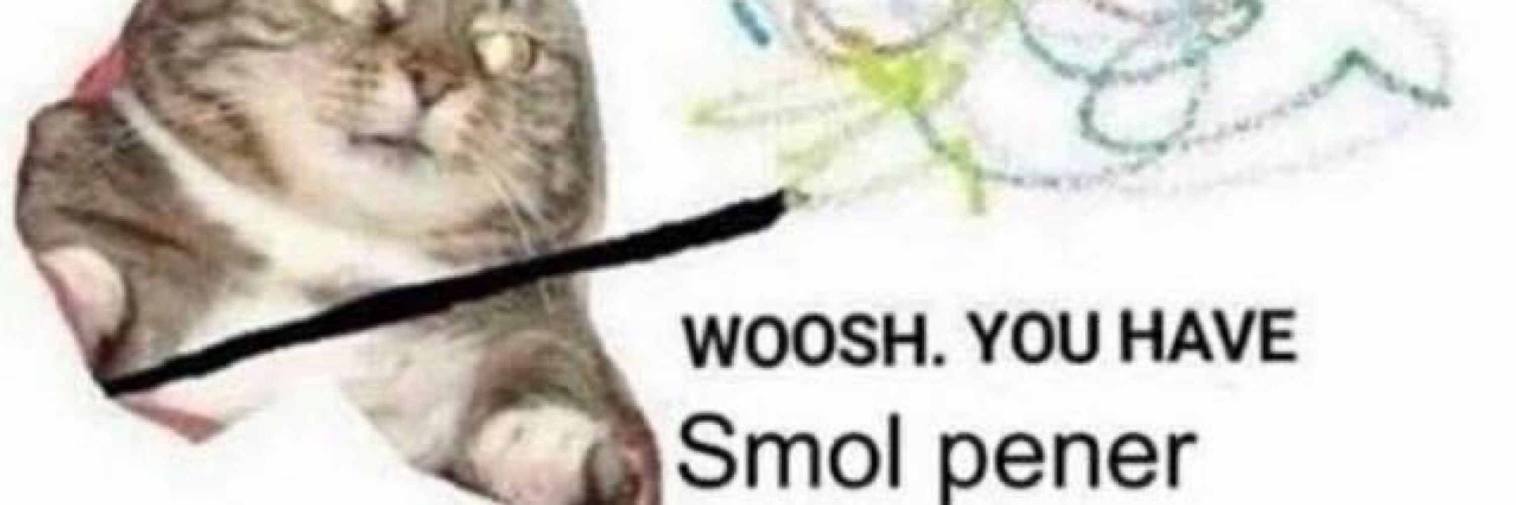 JoStBeans