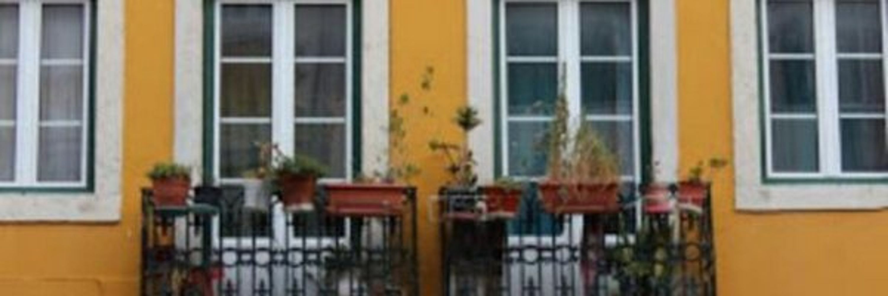 lusoplanet.com