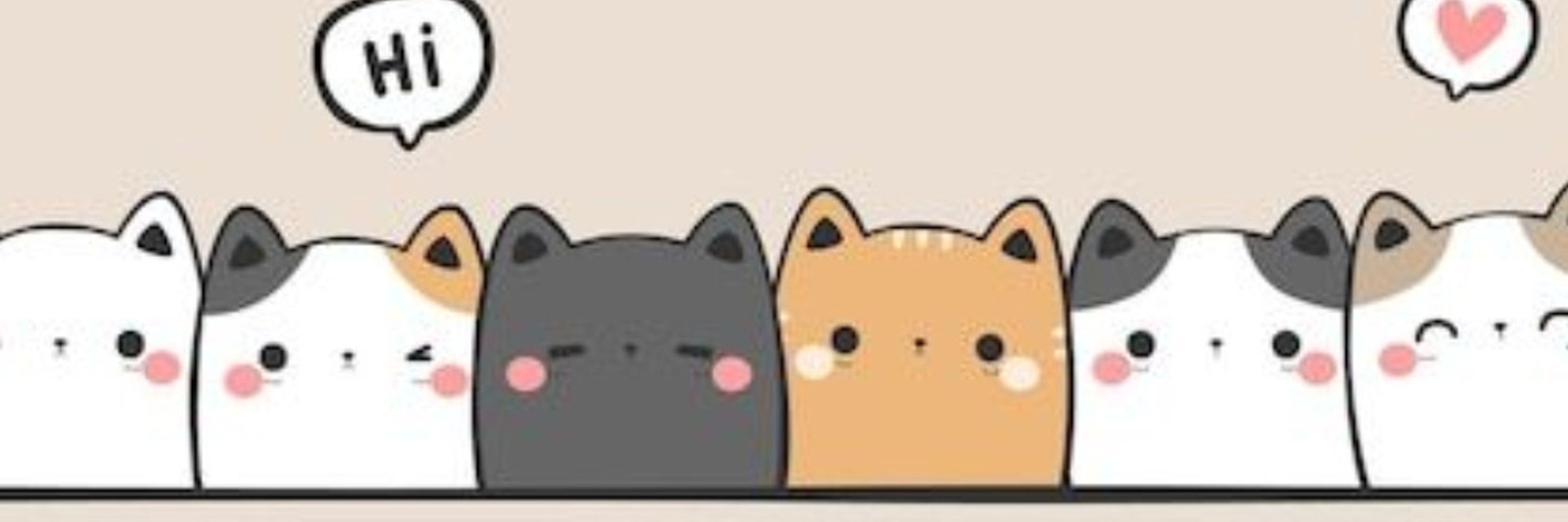 CatnGeek