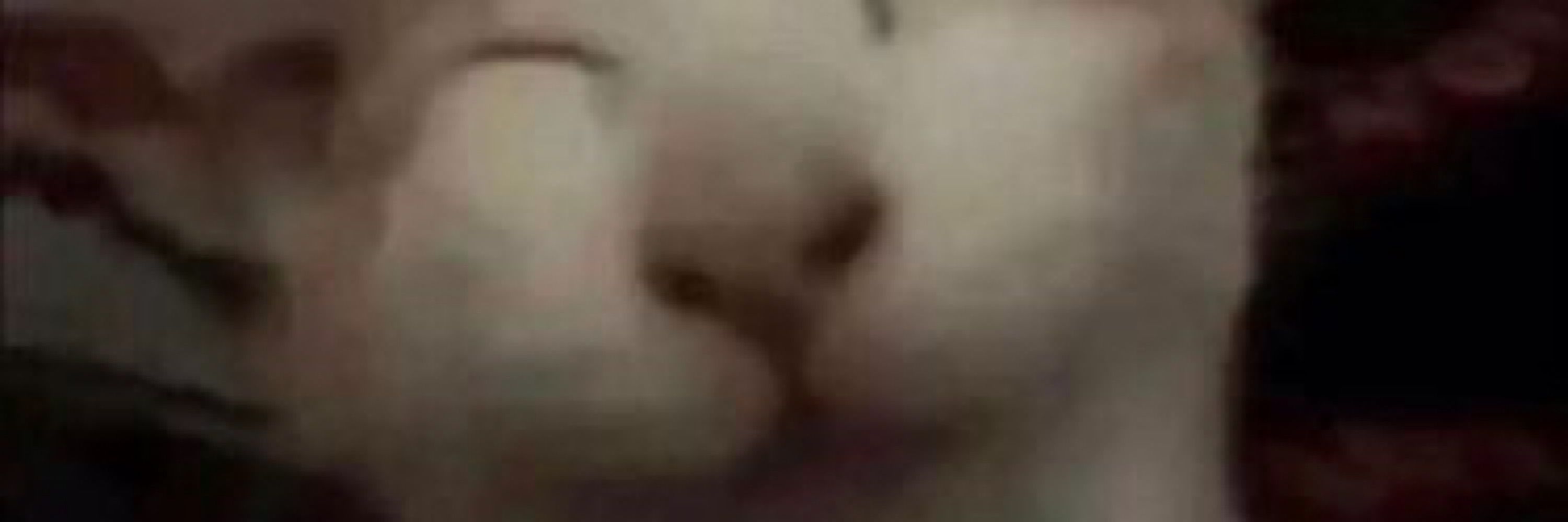 mailinda 