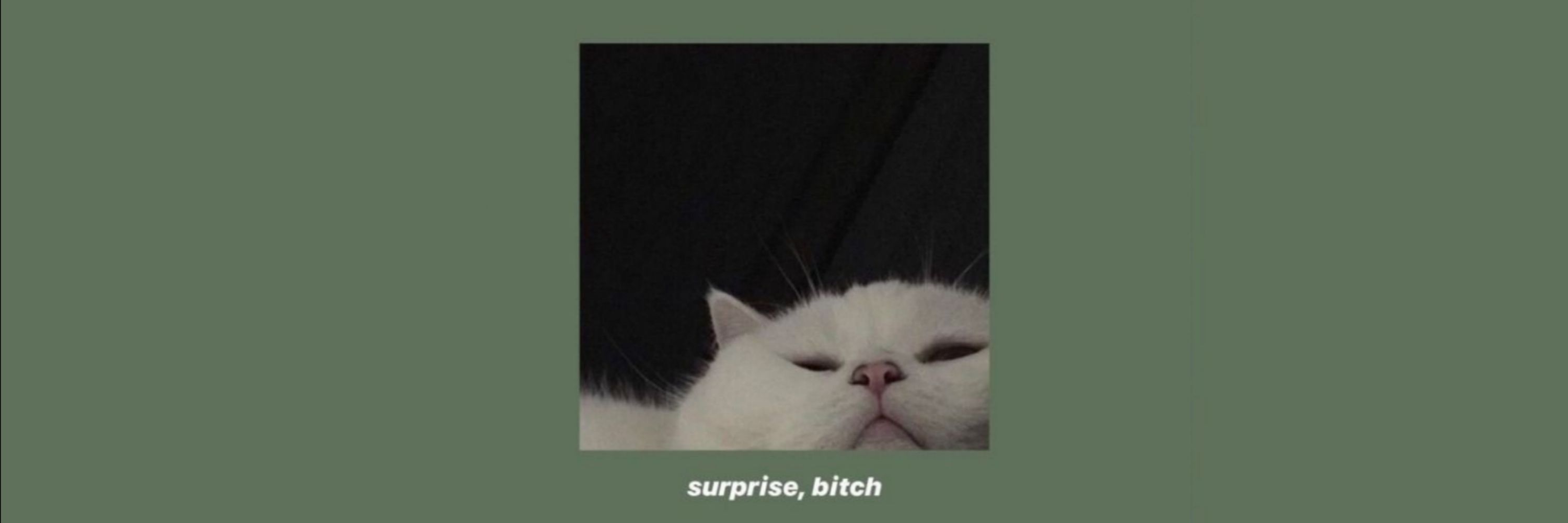 j.
