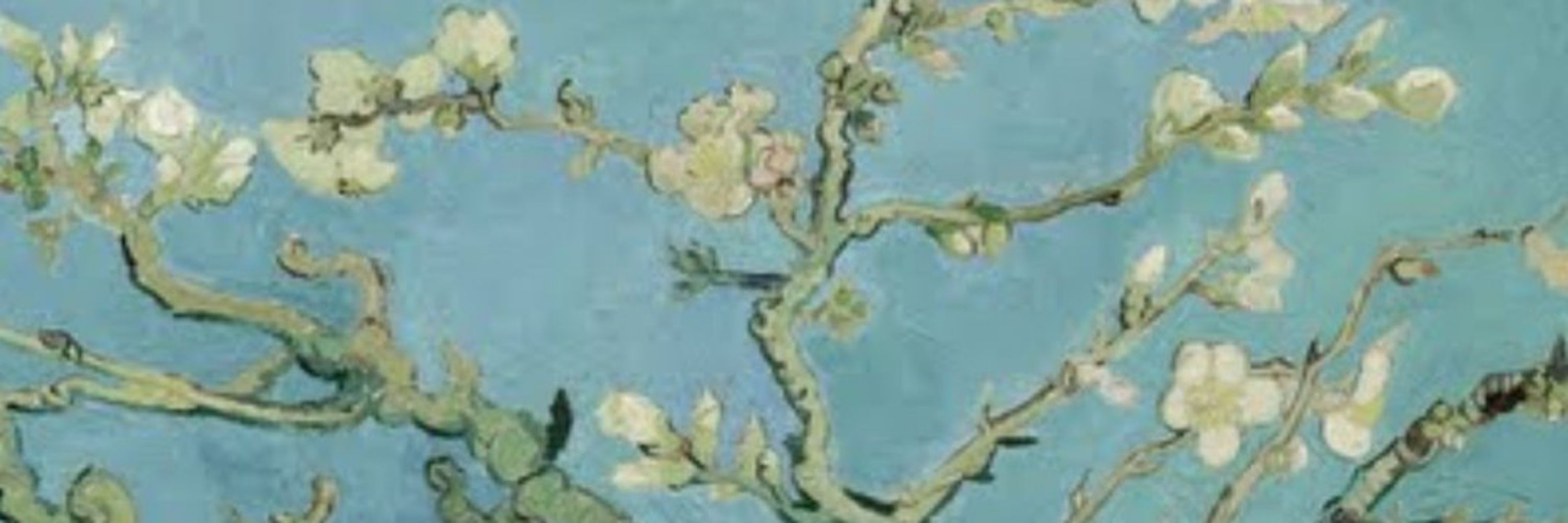 Taleri