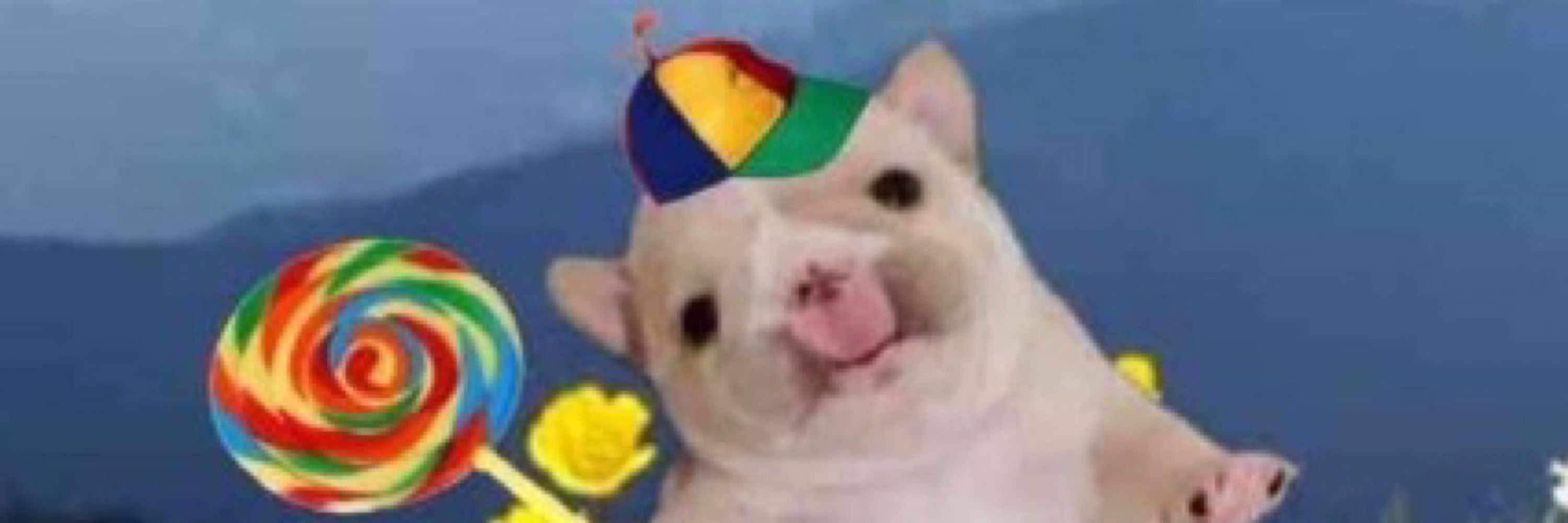 chnky p