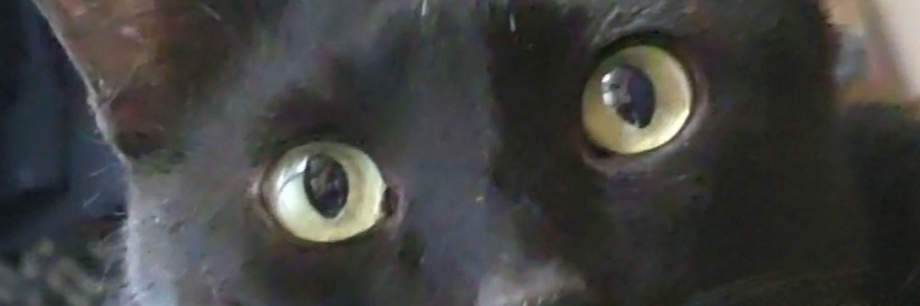あつも