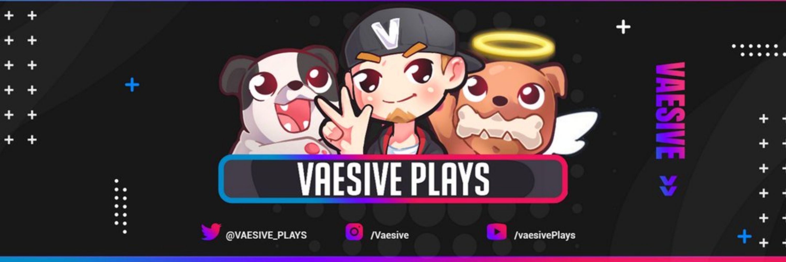 Vaesive