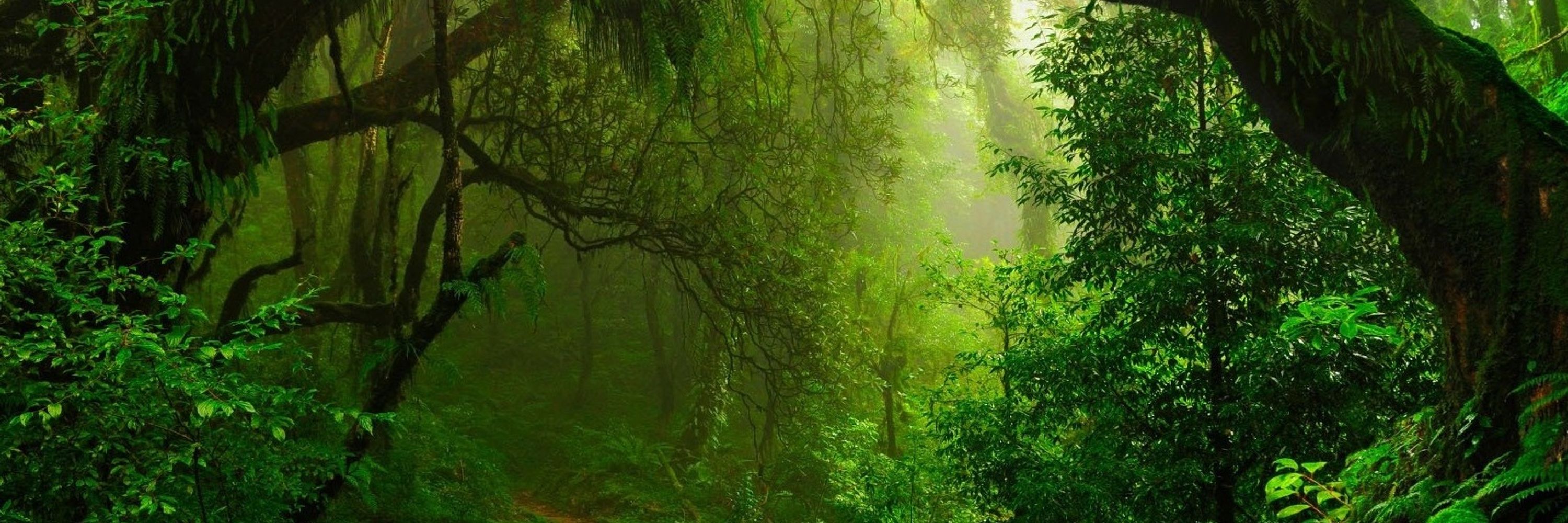 Peace in Oregon